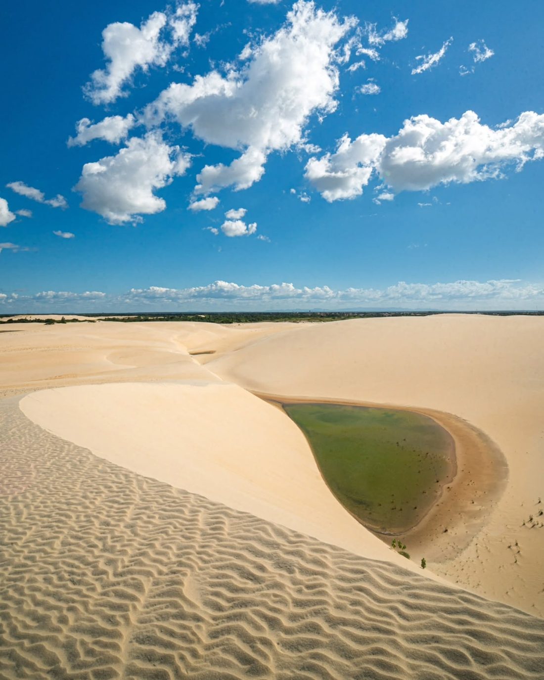 Duna branca dos Lençóis Paracuruenses descendo até uma lagoa de água doce